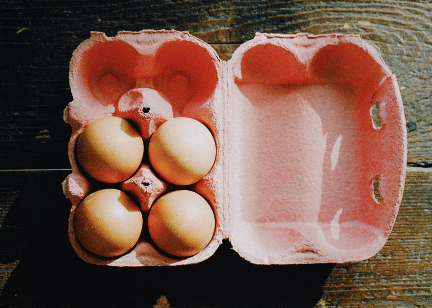 The Grocery Store Adventure: Went for Eggs, Left with a Feast